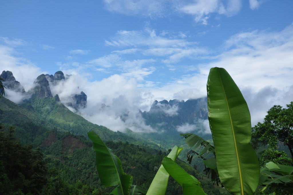 碧桂园4+X扶贫观察报告