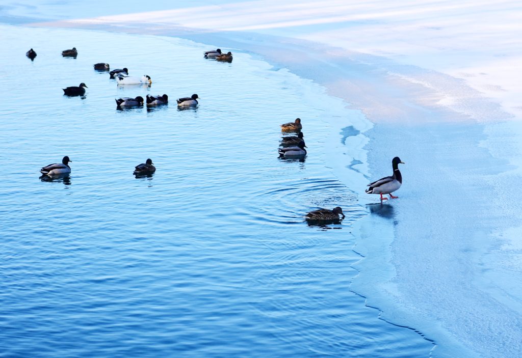 社会治理创新与新型社会组织成长状况调研