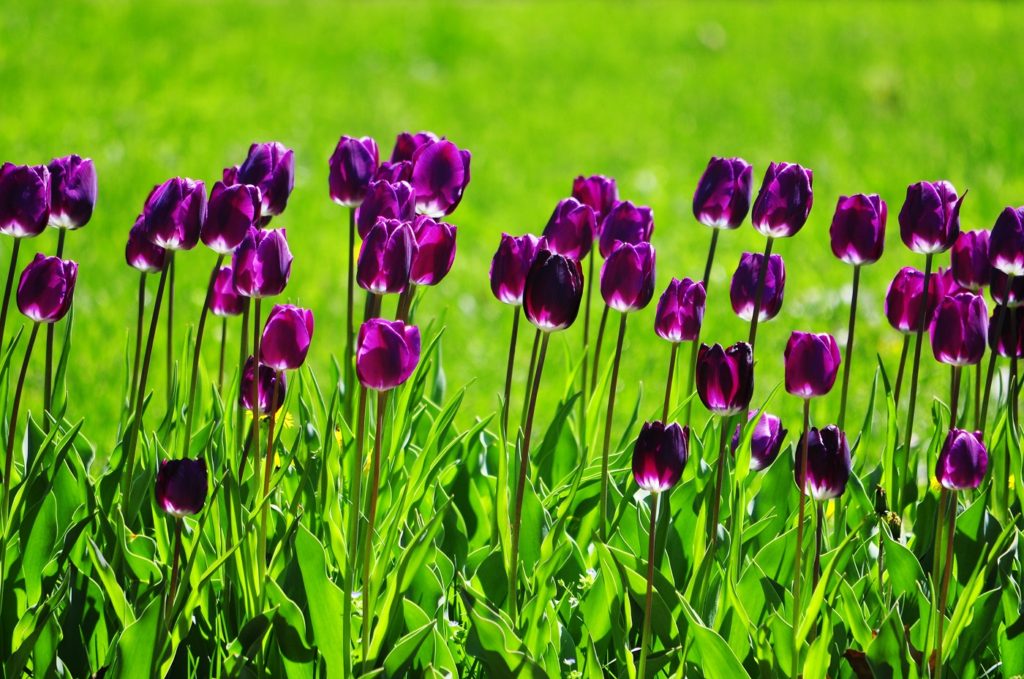 《光明日报》整版报道:《数字公益:共享治理红利》