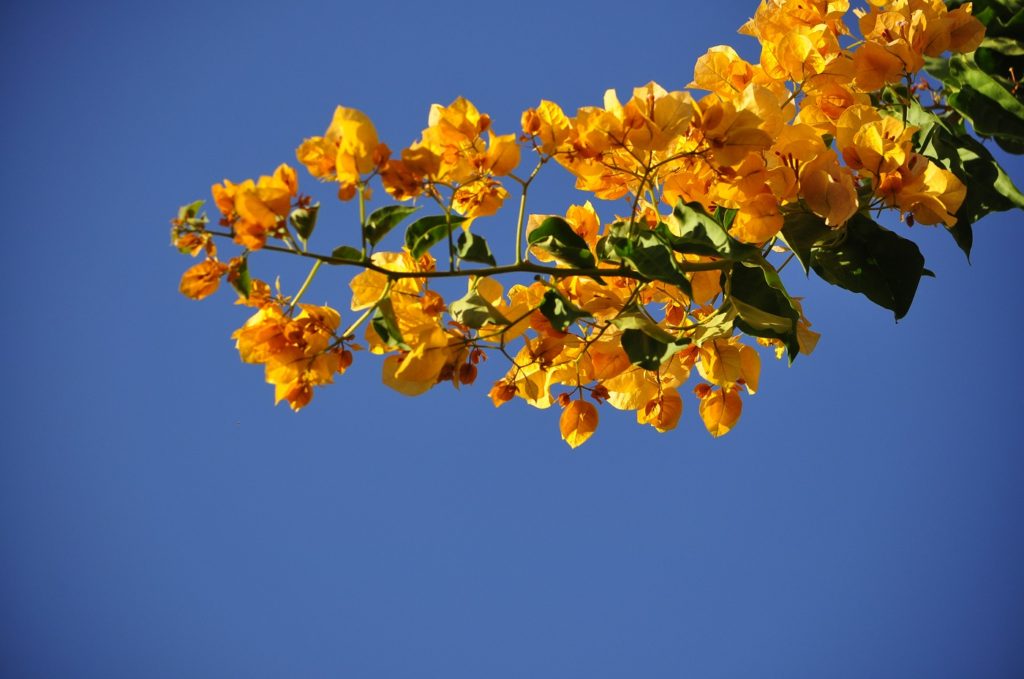 152强民企的捐赠画像:力度与偏好