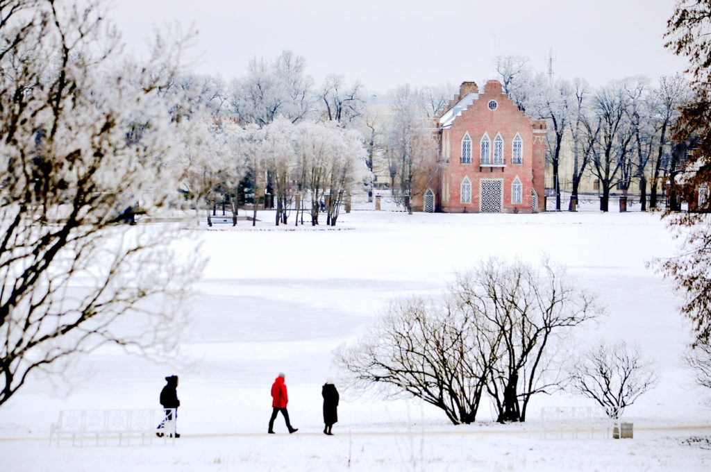 2017年的政商关系:大事与大势