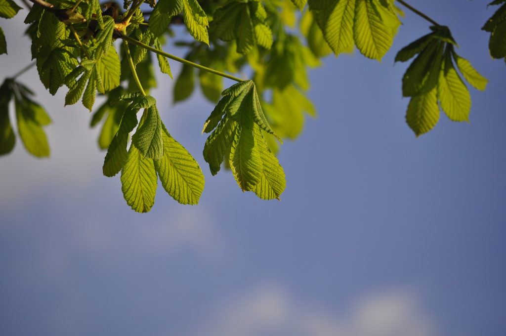 企业开工力调研·报告(第一期) | 疫情预期将削减受访企业近10%的主要投入