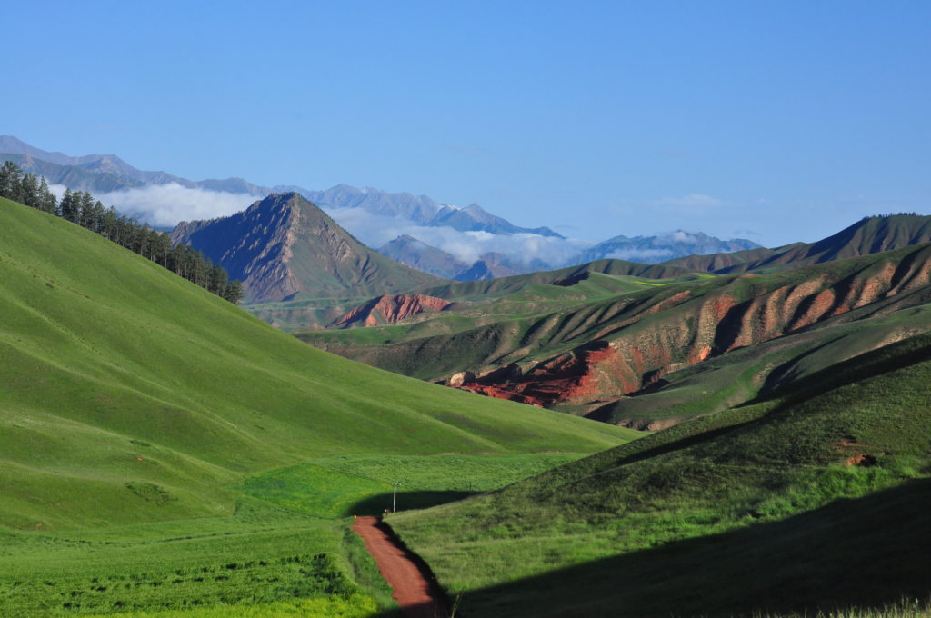 中国富豪榜数据库(CSRP)