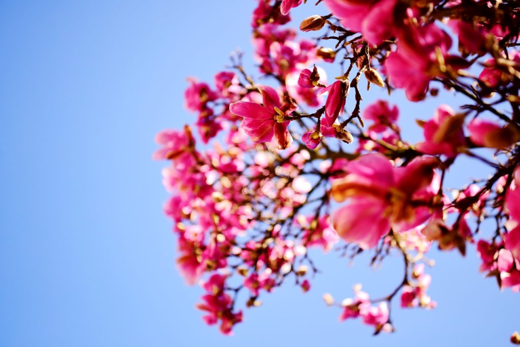 什么是企业社会创新