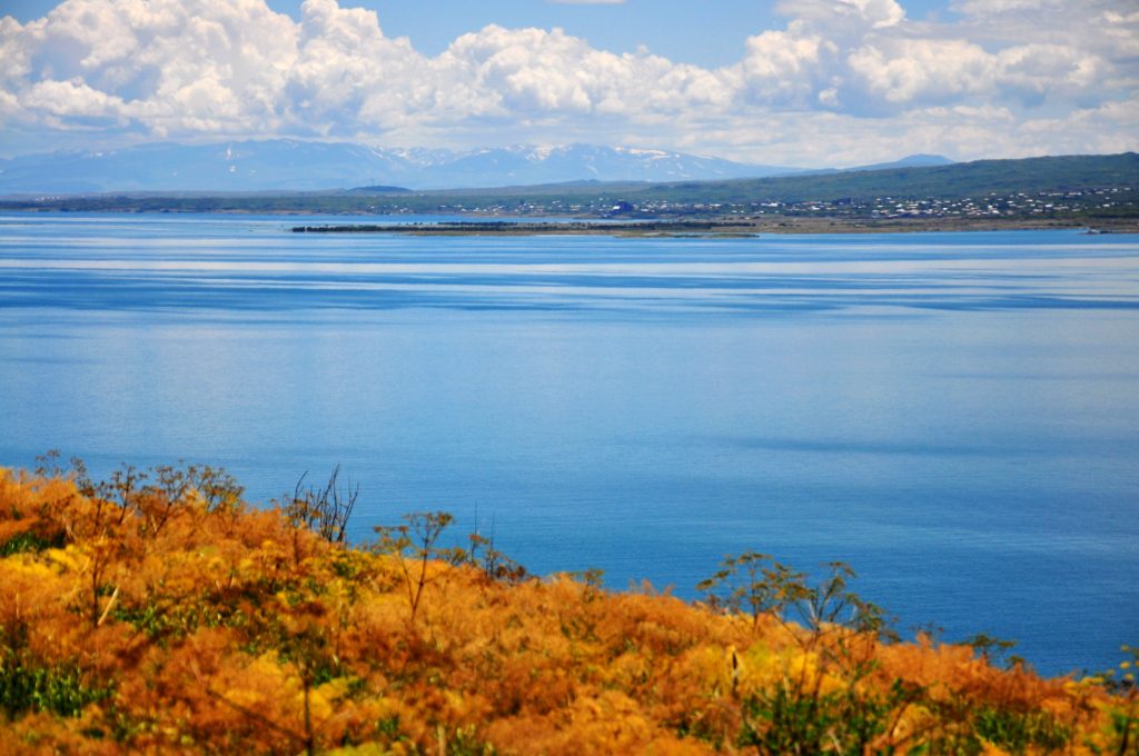 助力抗击新冠肺炎,平台企业哪家强?