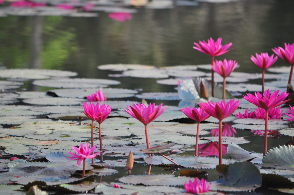 力度与导向:500强民企抗疫捐赠画像