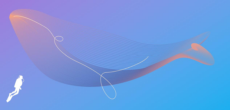 寻找座头鲸:中国企业社会创新旗舰项目评估报告(2021)