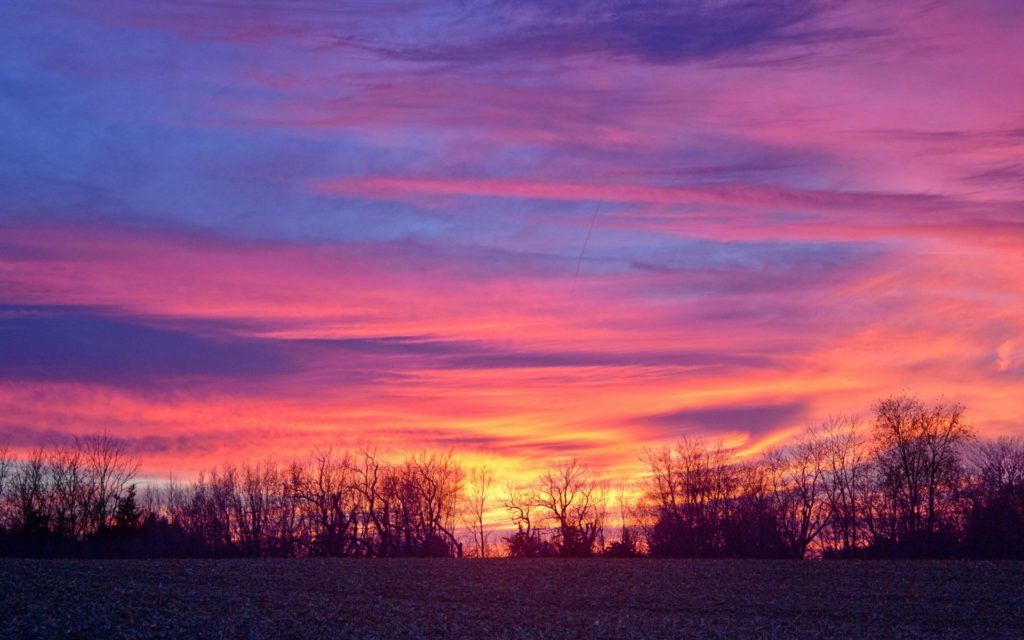 《地方金融治理的制度逻辑:一个风险转化的分析视角》