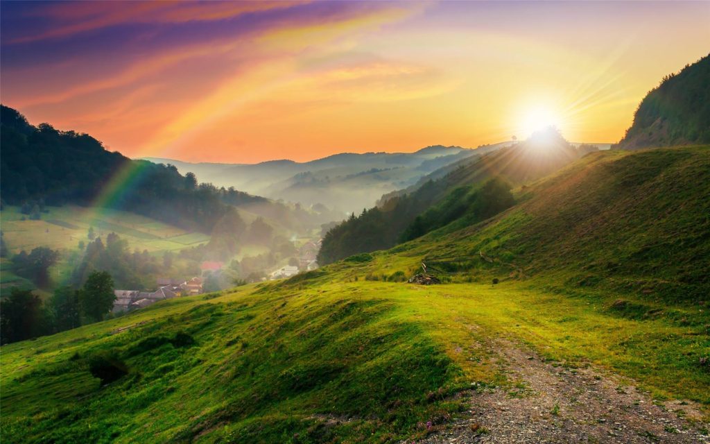 《非正式制度与村庄公共物品供给–T村个案研究》