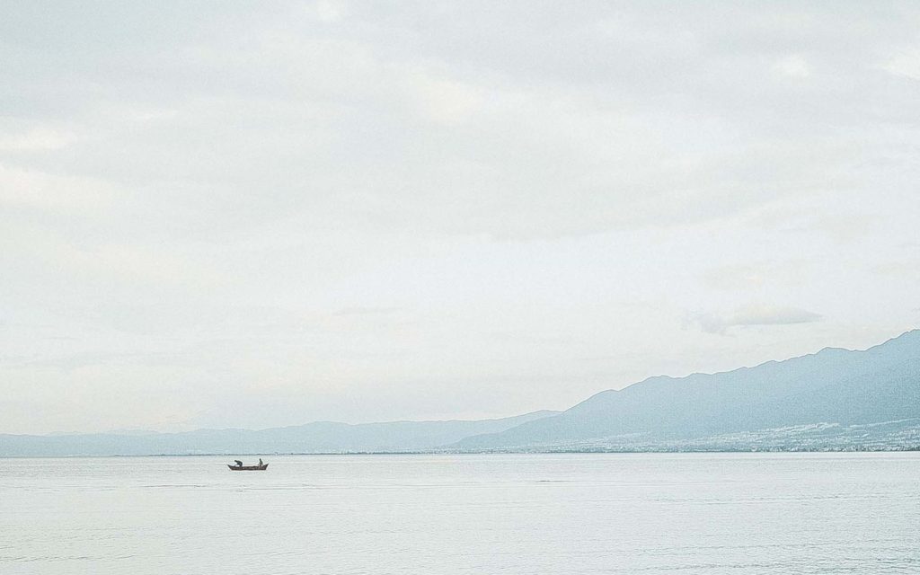 《吾土吾民:农民的文化表达与主体性》