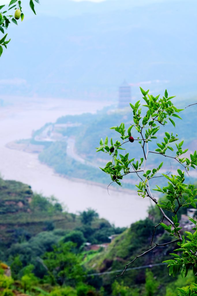 《理解全球化:国际移民、国际包容度与国家认同感研究》