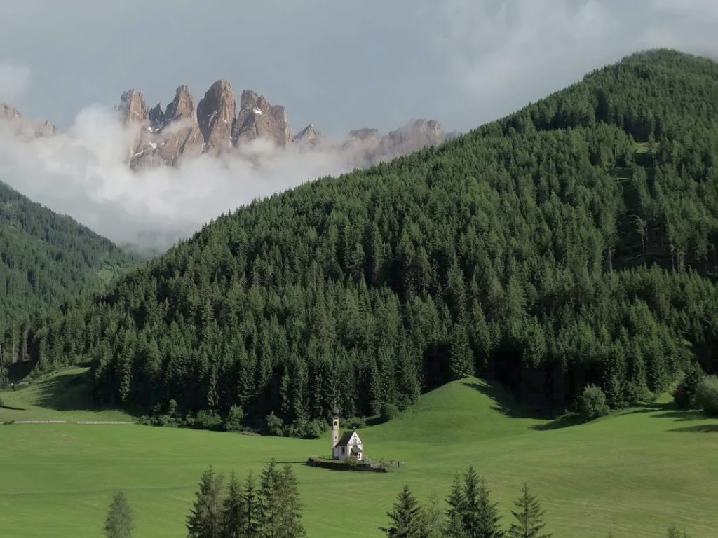 《驾驭市场:一个村庄的土地保护与现代转型》